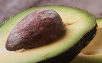 Avocado 119 0 avocado_ok