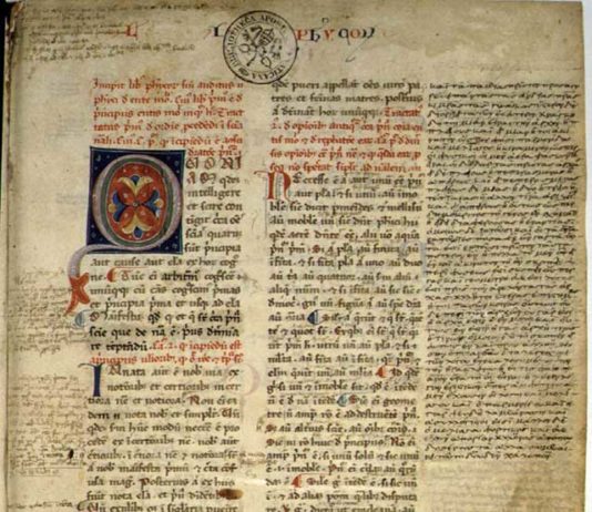 Storie letterarie italiane 1190 0 Le storie letterarie italiane