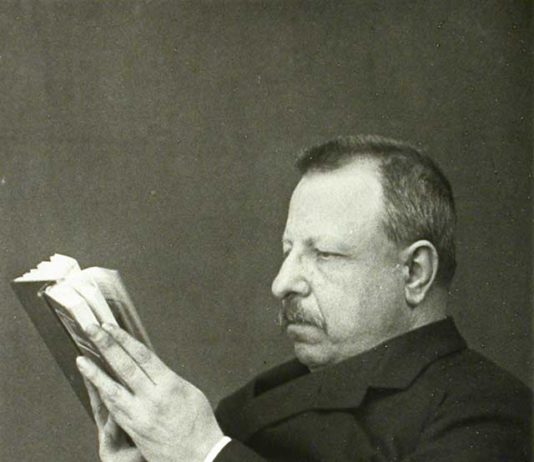 La saggistica letteraria 1191 0 La saggistica letteraria