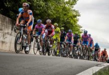 Saggistica del ciclismo 1194 0 La saggistica del ciclismo