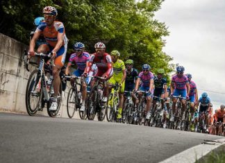 Saggistica del ciclismo 1194 0 La saggistica del ciclismo