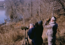 Cosa aspettarsi da un corso di birdwatching 1268 0 Cosa aspettarsi da un corso di birdwatching
