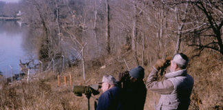 Cosa aspettarsi da un corso di birdwatching 1268 0 Cosa aspettarsi da un corso di birdwatching