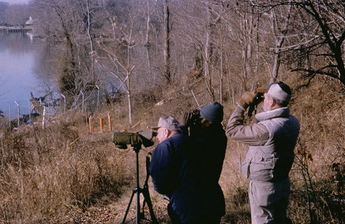 1268-0-Cosa-aspettarsi-da-un-corso-di-birdwatching.jpg 1268 0 Cosa aspettarsi da un corso di birdwatching