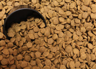 La dieta del cane 1277 0 la_dieta_del_cane_ok