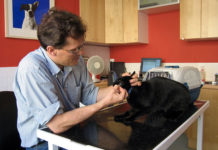 I vaccini per il gatto 1287 0 i_vaccini_per_il_gatto_ok