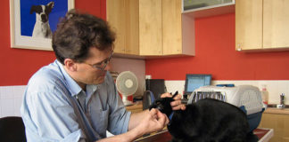 I vaccini per il gatto 1287 0 i_vaccini_per_il_gatto_ok