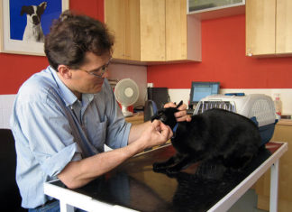 I vaccini per il gatto 1287 0 i_vaccini_per_il_gatto_ok