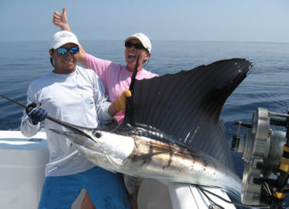 L’altura mediterranea 1305 0 Laltura mediterranea