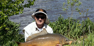 La pesca in superficie delle carpe 1306 0 La pesca in superficie delle carpe