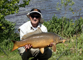 La pesca in superficie delle carpe 1306 0 La pesca in superficie delle carpe