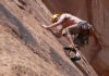 Il free climbing 1314 0 il free climbing_ok