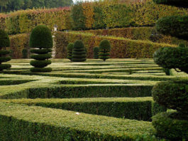 Potatura dei cespugli e delle siepi 1320 0 potatura_dei_cespugli_e_delle_siepi_ok