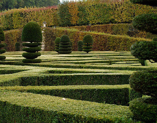 Potatura dei cespugli e delle siepi 1320 0 potatura_dei_cespugli_e_delle_siepi_ok