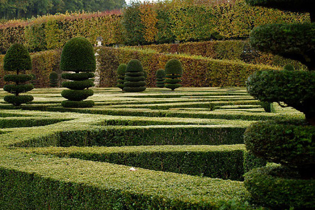 1320-0-potatura_dei_cespugli_e_delle_siepi_ok.jpg 1320 0 potatura_dei_cespugli_e_delle_siepi_ok