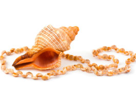 Pendenti e ciondoli dal mare 1423 0 pendenti e ciondoli dal mare_ok