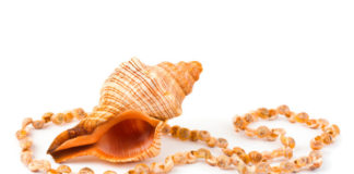 Pendenti e ciondoli dal mare 1423 0 pendenti e ciondoli dal mare_ok