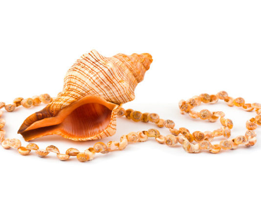 Pendenti e ciondoli dal mare 1423 0 pendenti e ciondoli dal mare_ok