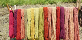 Diversi tipi di lana 1427 0 diversi_tipi_di_lana_ok