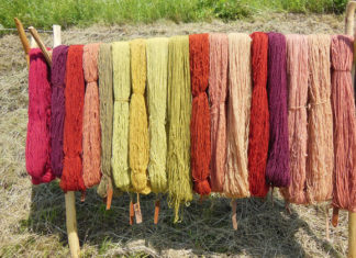 Diversi tipi di lana 1427 0 diversi_tipi_di_lana_ok