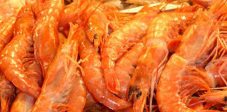 Scampi in gabbia 1441 0 scampi_in_gabbia_ok