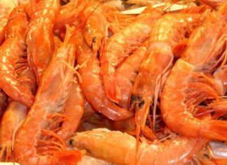 Scampi in gabbia 1441 0 scampi_in_gabbia_ok