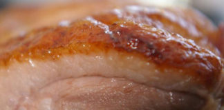 Anatra teriyaki 1445 0 anatra teriyaki_ok