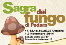 La sagra del Fungo di Pedara 1534 0 sagrafungo