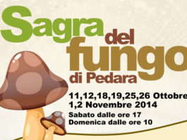 La sagra del Fungo di Pedara 1534 0 sagrafungo