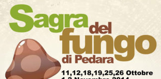 La sagra del Fungo di Pedara 1534 0 sagrafungo