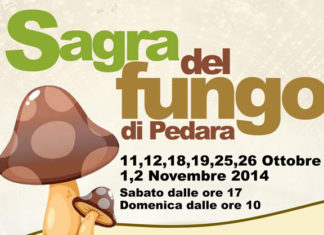 La sagra del Fungo di Pedara 1534 0 sagrafungo