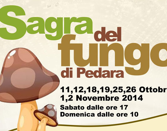 La sagra del Fungo di Pedara 1534 0 sagrafungo
