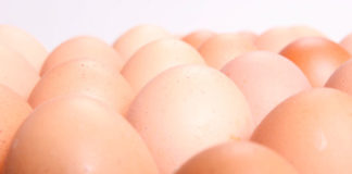 Uova al vino 1539 0 uovaalvino