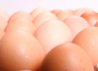 Uova al vino 1539 0 uovaalvino