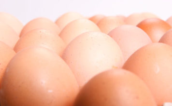 Uova al vino 1539 0 uovaalvino