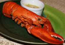 Aragosta imperiale 1541 0 aragostaimperiale