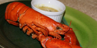 Aragosta imperiale 1541 0 aragostaimperiale