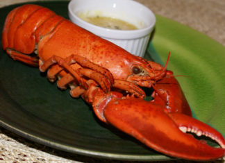 Aragosta imperiale 1541 0 aragostaimperiale