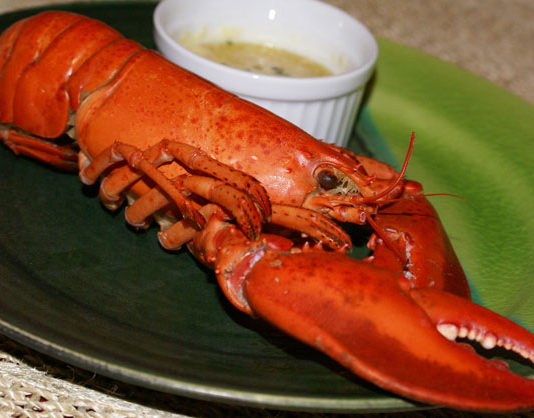 Aragosta imperiale 1541 0 aragostaimperiale