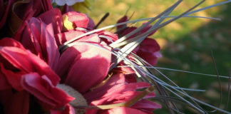 Riempire gli spazi vuoti di colore 1583 0 riempire_gli_spazi_vuoti_di_colore