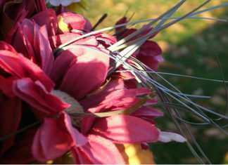 Riempire gli spazi vuoti di colore 1583 0 riempire_gli_spazi_vuoti_di_colore