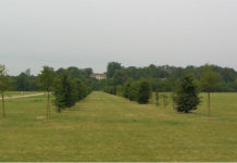 Scuola Agraria del Parco di Monza 1587 0 scuola_agraria_del_parco_di_monza