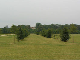 Scuola Agraria del Parco di Monza 1587 0 scuola_agraria_del_parco_di_monza