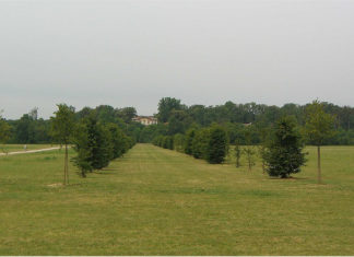 Scuola Agraria del Parco di Monza 1587 0 scuola_agraria_del_parco_di_monza
