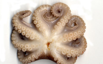 Polpo con patate 1594 0 polpo_patate