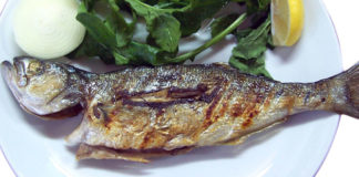 Branzino farcito 1597 0 branzino_ripieno