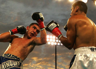 Gli stili del pugilato 1601 0 stili_boxe