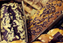 Dolcemente – Pisa 22 e 23 novembre 2014 1605 0 Dolcemente Pisa_ok