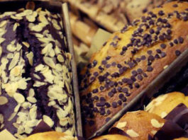 Dolcemente – Pisa 22 e 23 novembre 2014 1605 0 Dolcemente Pisa_ok