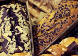 Dolcemente – Pisa 22 e 23 novembre 2014 1605 0 Dolcemente Pisa_ok